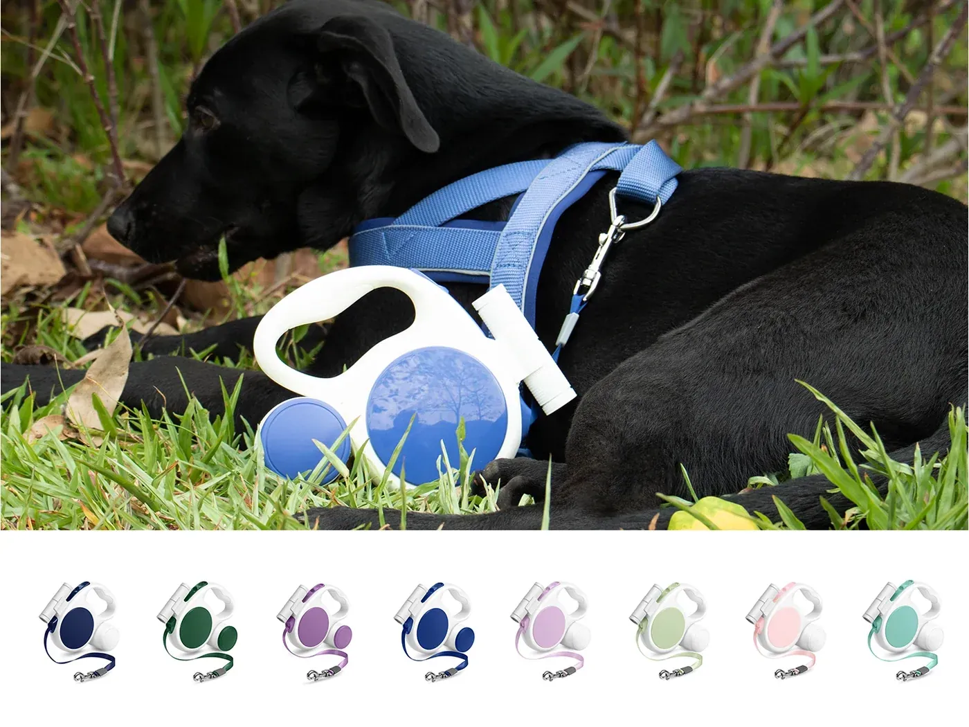Candy color tonal 3m retractable dog leash with black dog