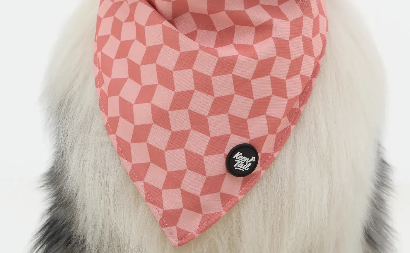 Private-label dog walking set packaging and range planning