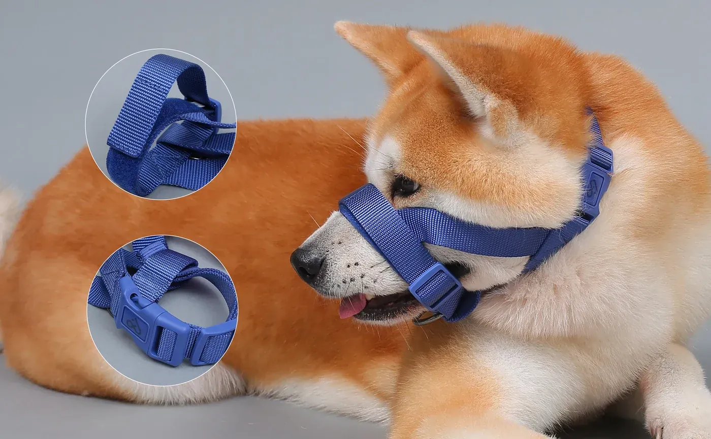 Dual buckle adjustment on dog muzzle