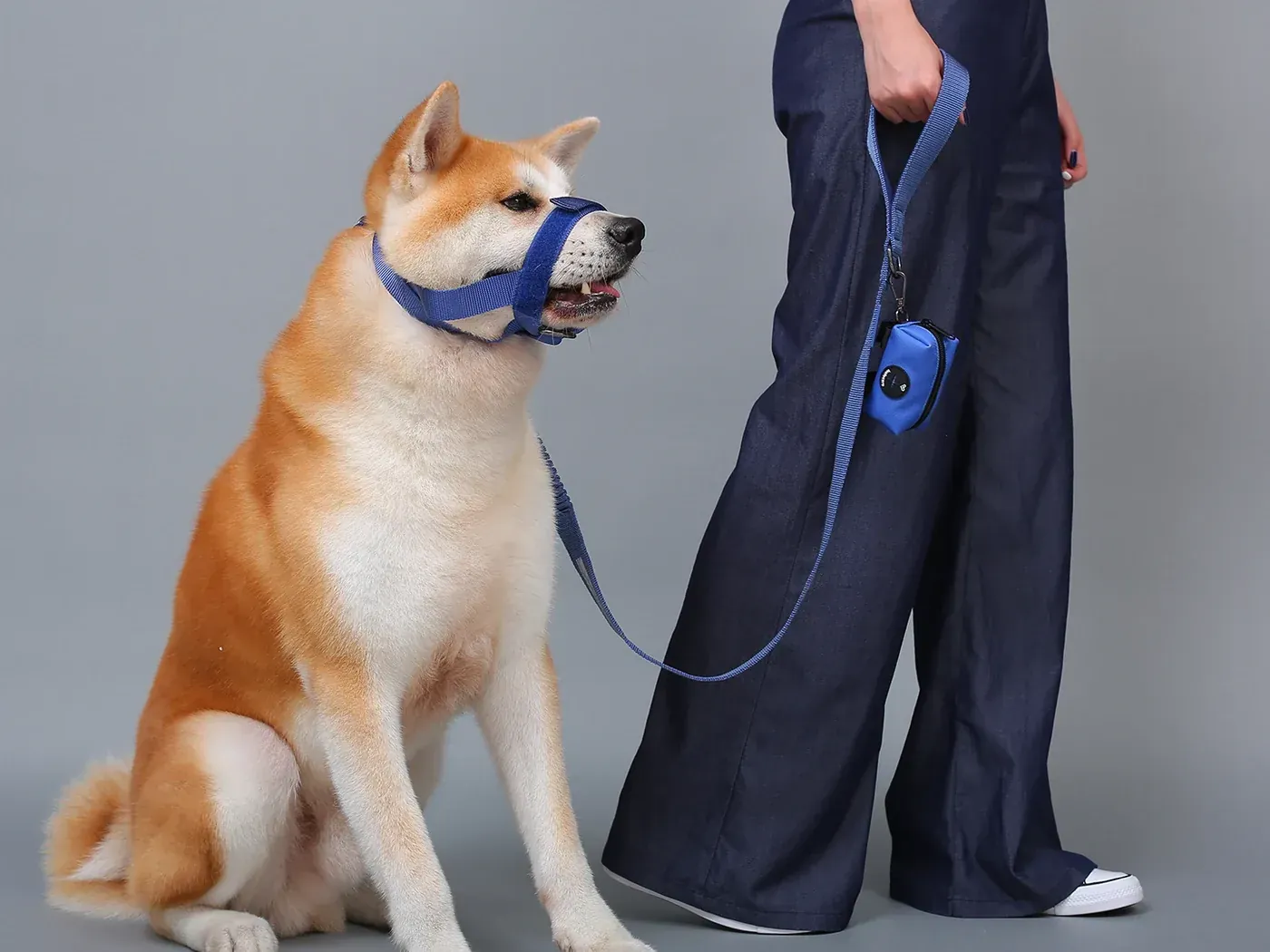 Dog muzzle paired with a matching walking leash