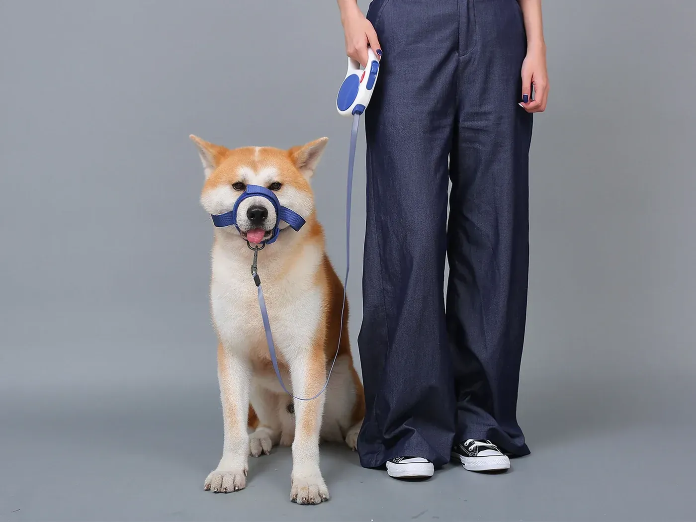 Dog muzzle paired with a matching retractable dog leash