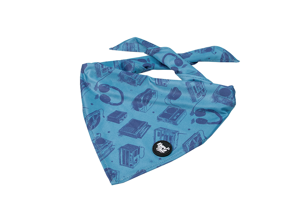 Caratteristiche e istruzioni di cura della bandana per cani