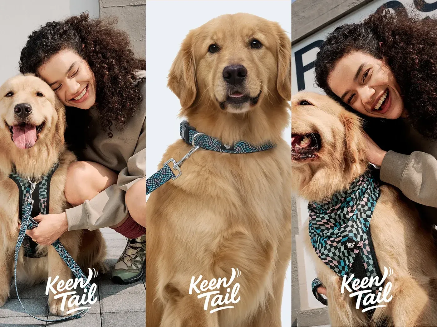 Urban Slate dog walking set