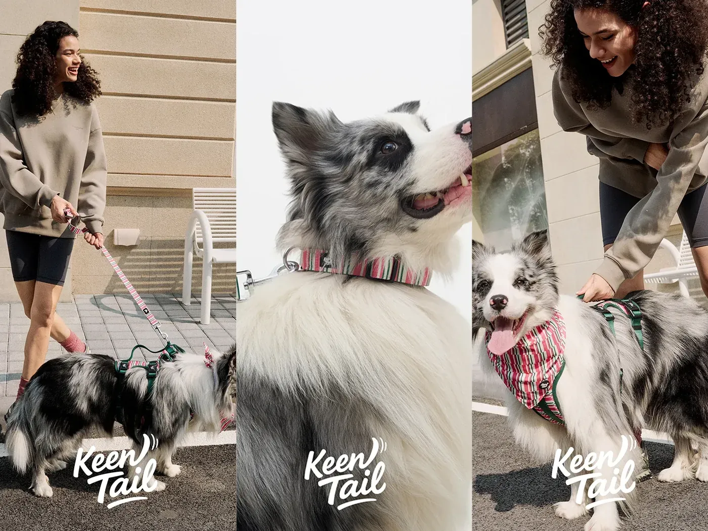 Emerald Botanical dog walking set