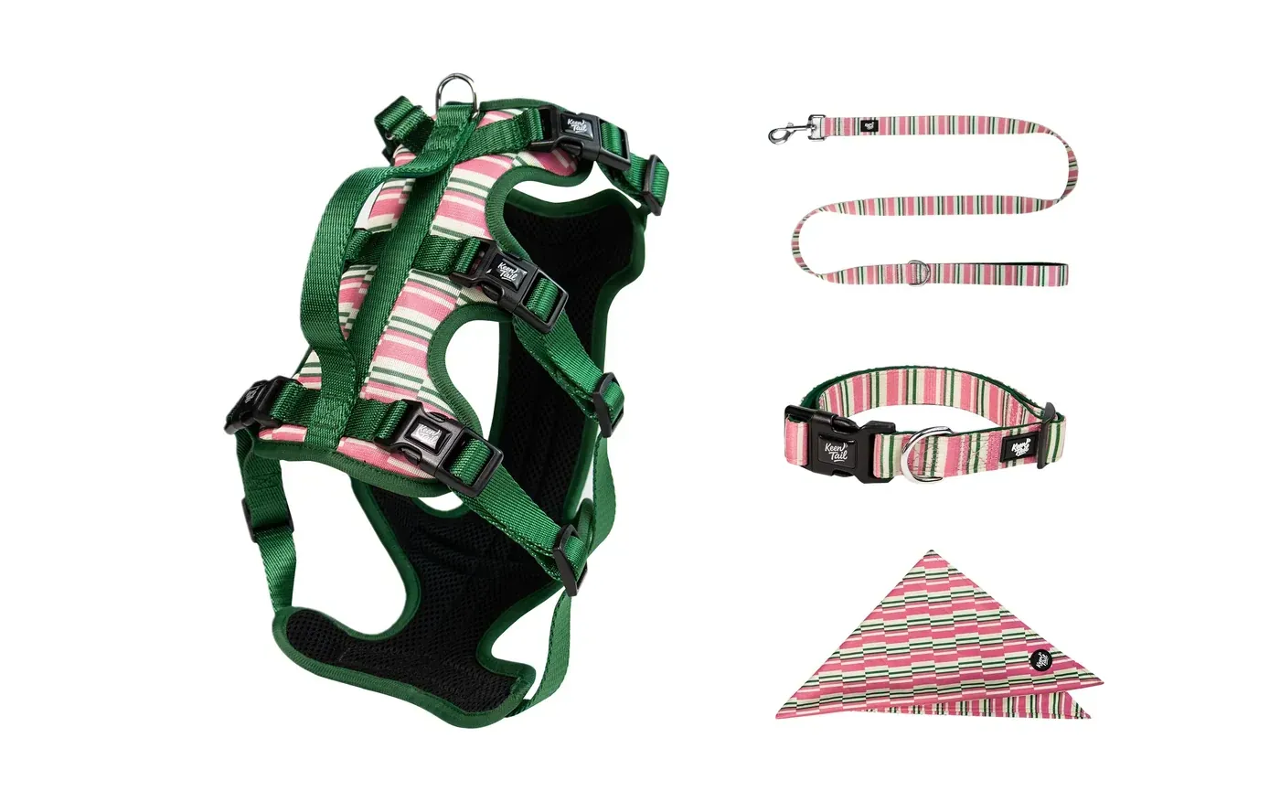 Dog walking set collar harness leash bandana
