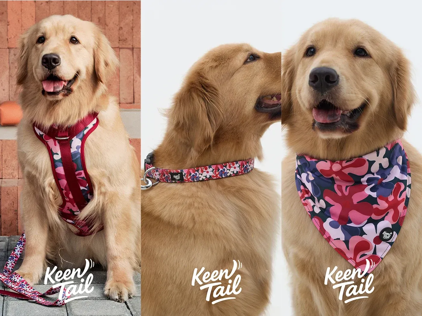 Midnight Bloom dog walking set