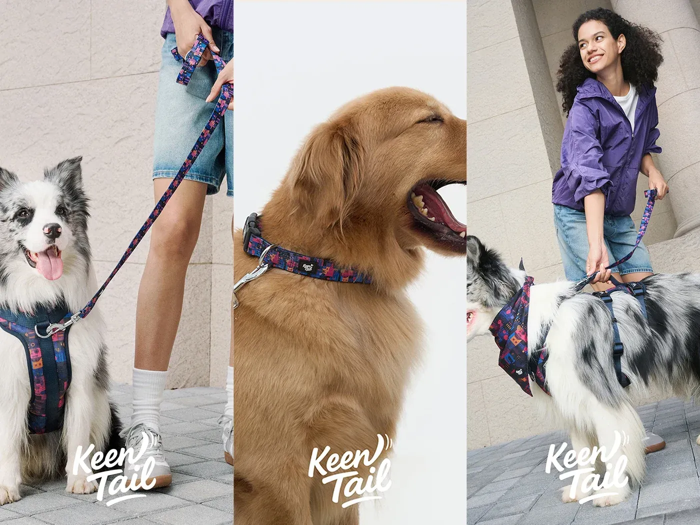Rose Stripe dog walking set