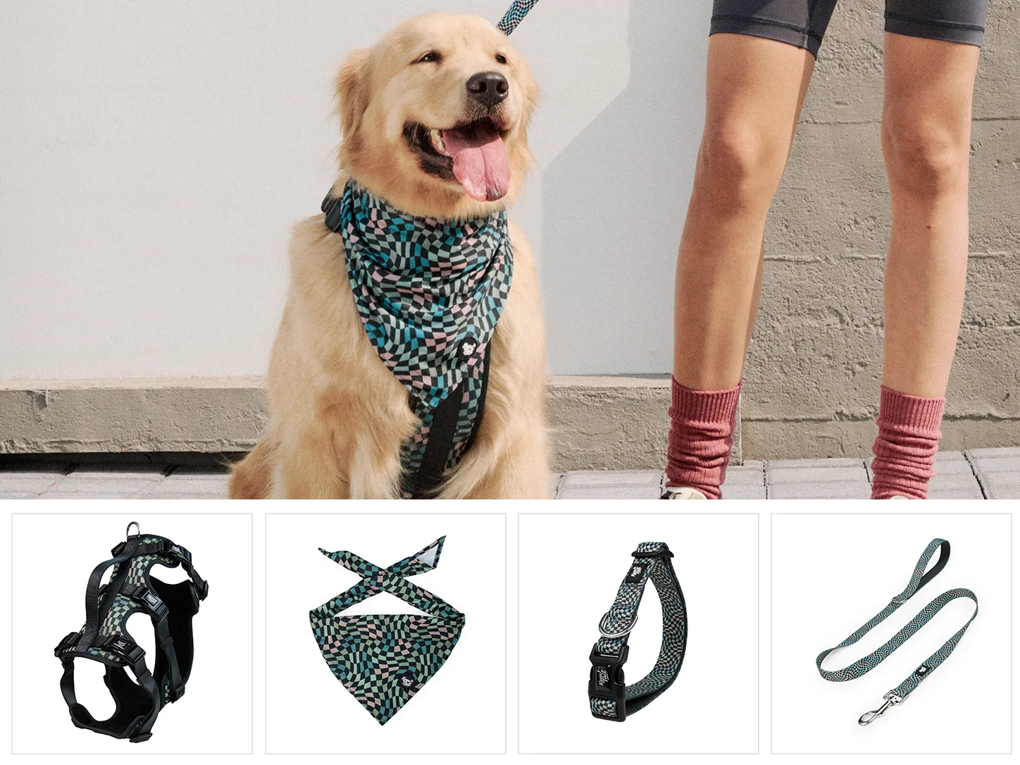 Set da passeggio per cani Urban Slate