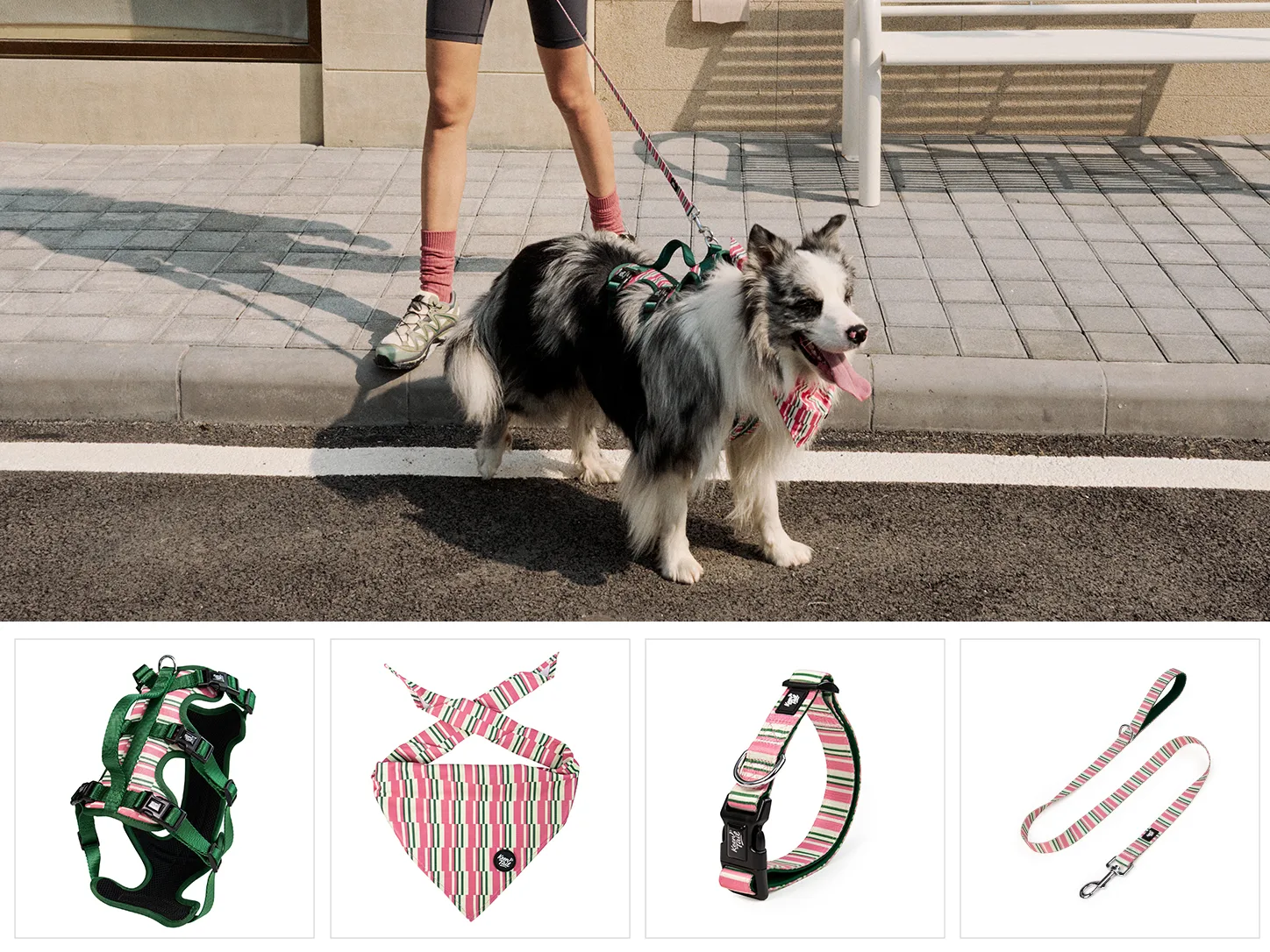 Set da passeggio per cani Emerald Botanical