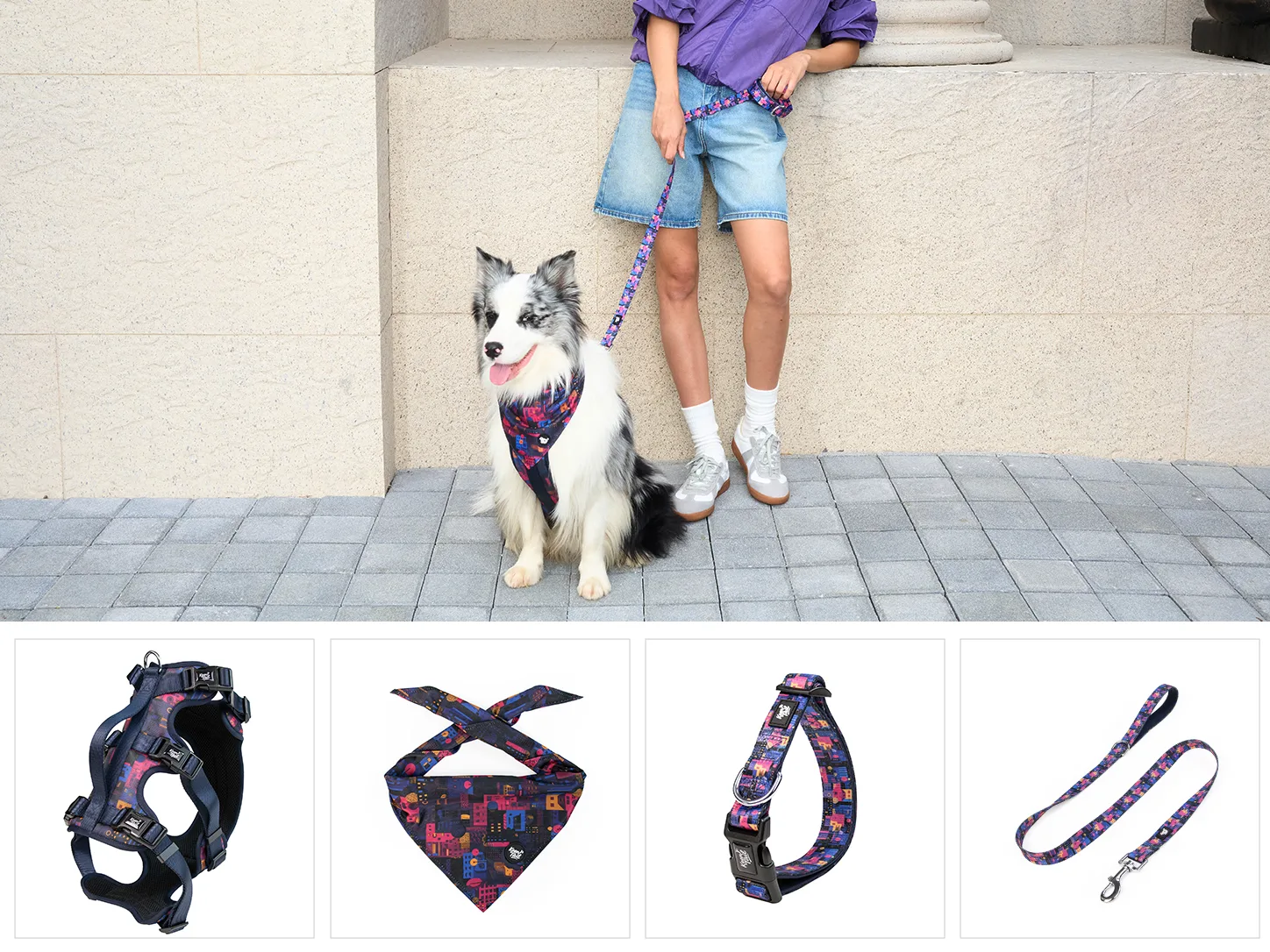 Set da passeggio per cani Rose Stripe