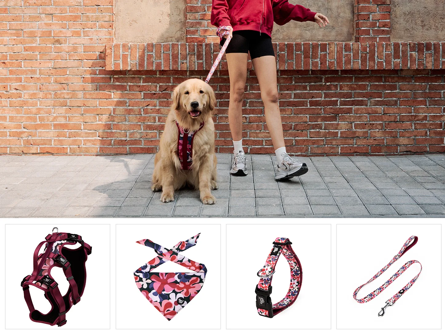 Set da passeggio per cani Midnight Bloom