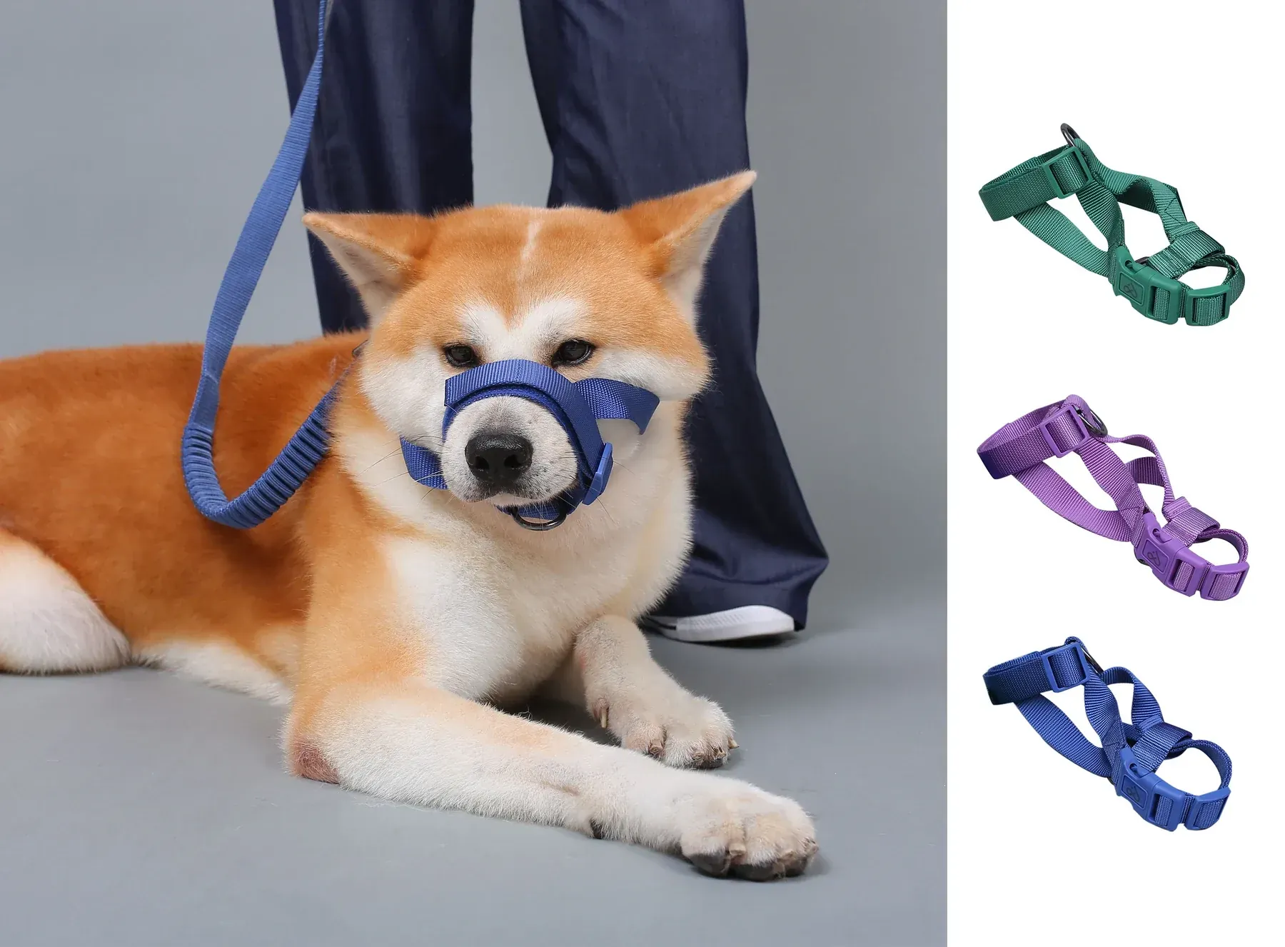 Dog muzzle walking sets by Kingspeed Pets