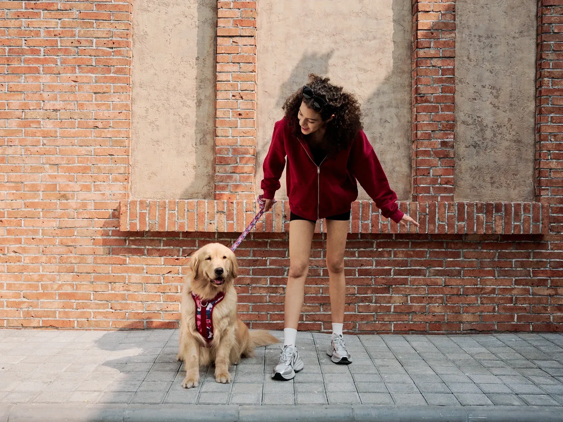 Club and pet product program use case